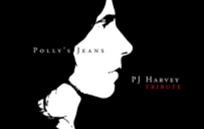 Polly's Jeans 2024