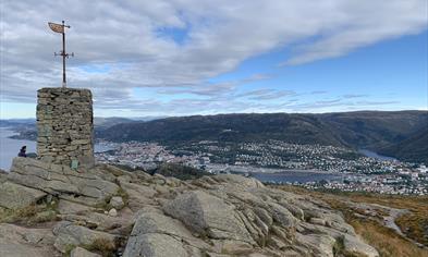 View from the top of Mount Løvstakken