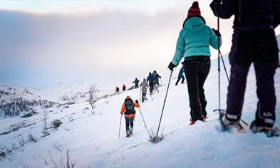 Trugetur i fjellene rundt Hardangerfjorden