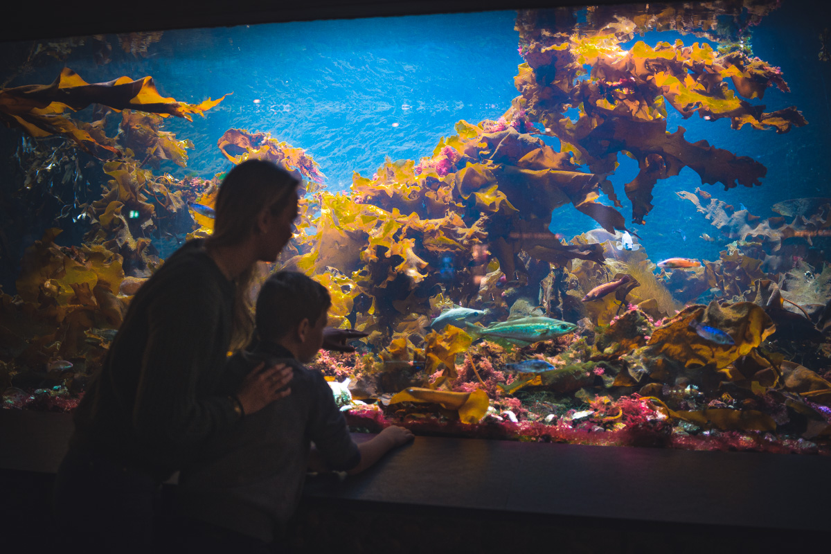 Norgesferie med barn - Besøkende på Akvariet