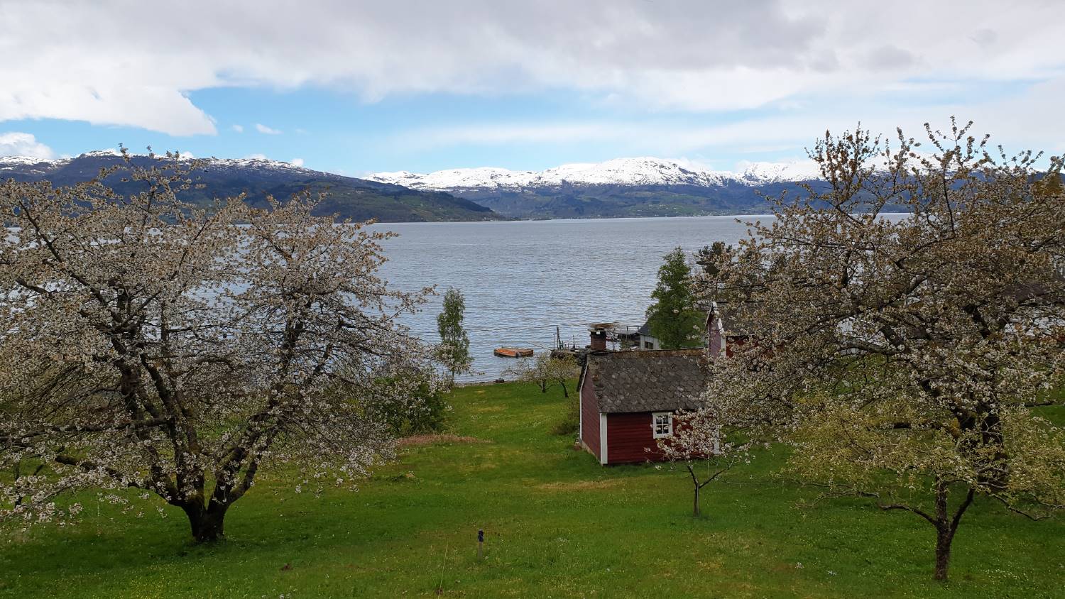 Biltur fra Bergen til Hardanger – Norges frukthage