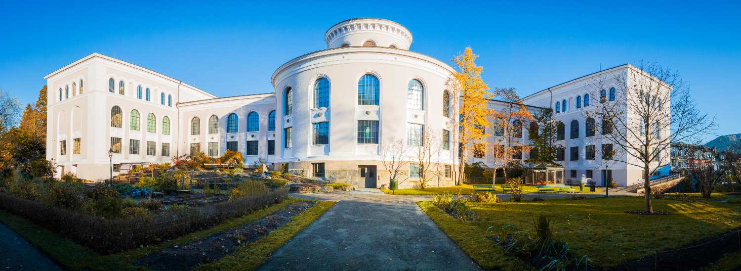 Bydeler og nabolag i Bergen sentrum - Nygårdshøyden - Universitetsmuseet i Bergen
