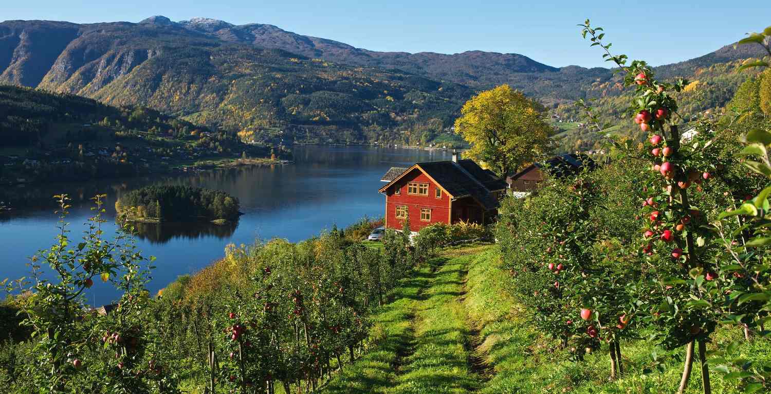 Norgesferie i Hardanger