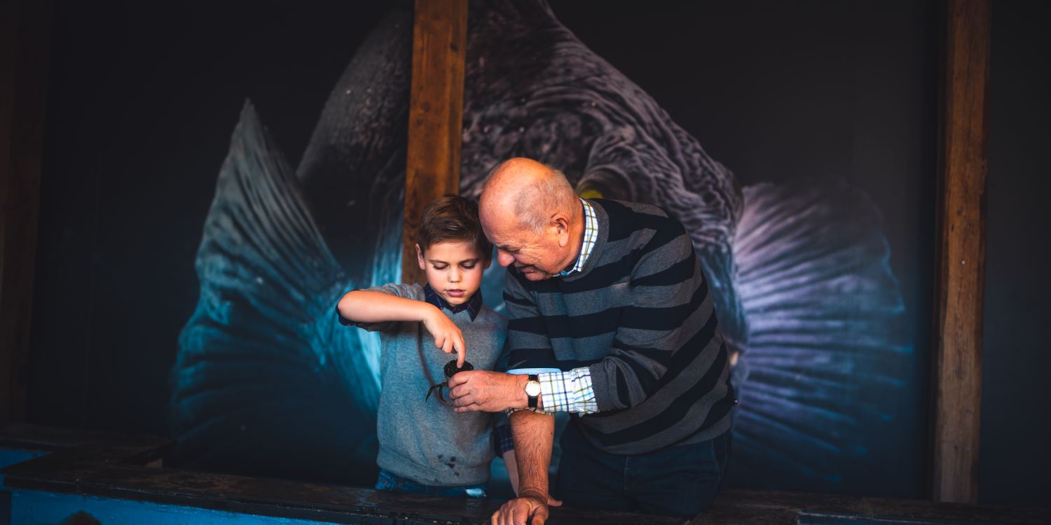 Påsken med barn i Bergen - bestefar med gutt på Akvariet
