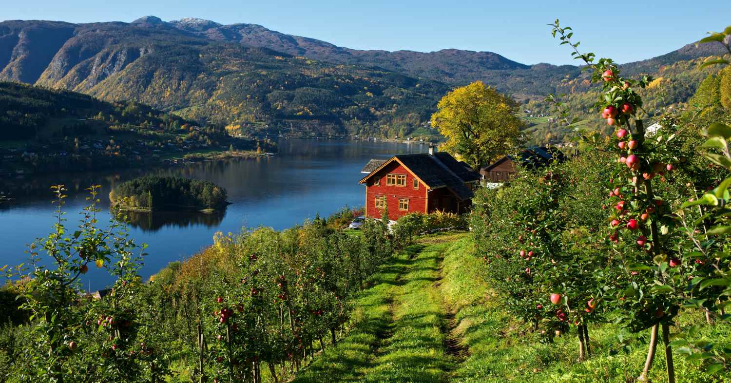Biltur i Hardanger