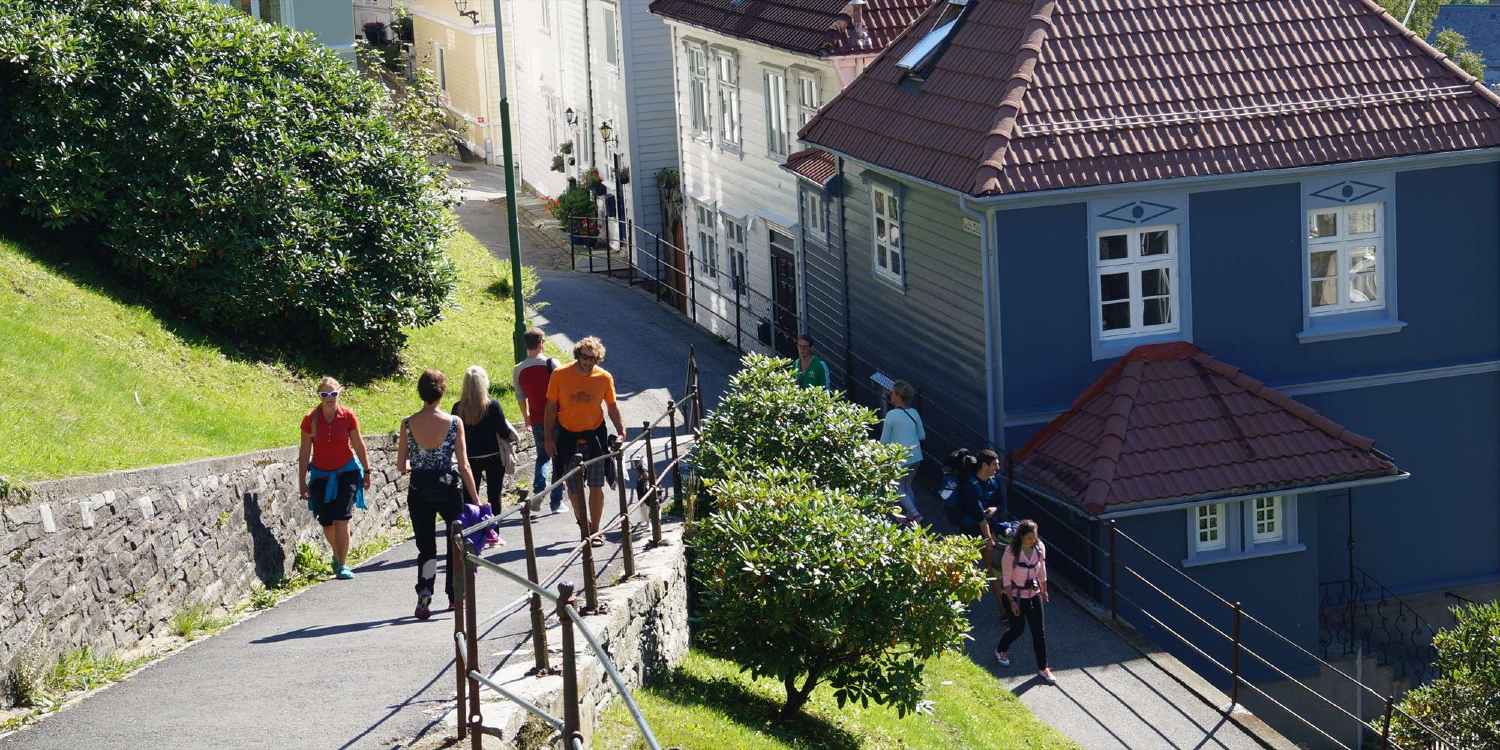 Ledsagerprogram - Fløyen
