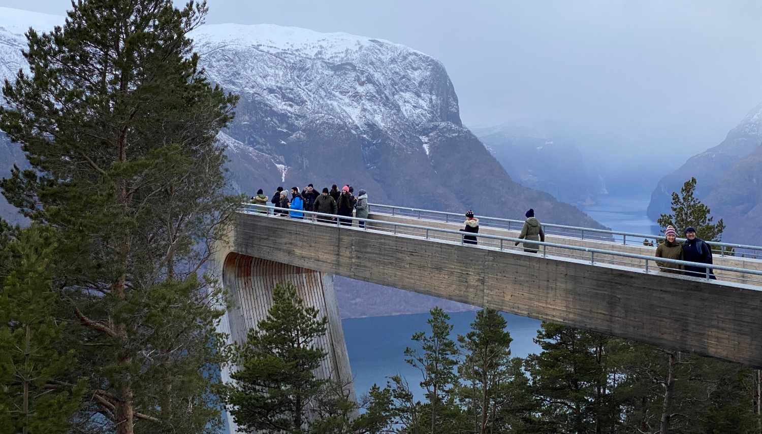 Guidet tur til Stegastein med Fjordrive