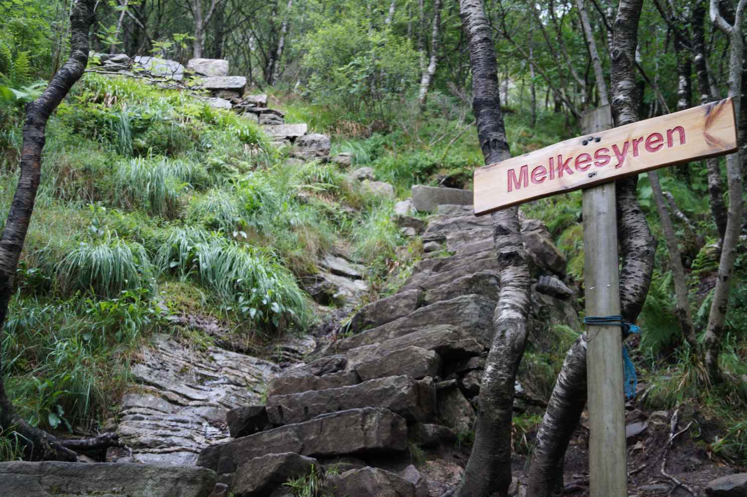 De syv fjell - Stoltzekleiven