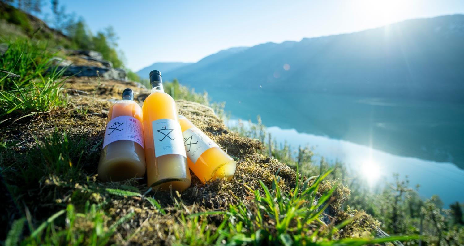 Norske epler - Derfor er epler fra Hardanger så gode!