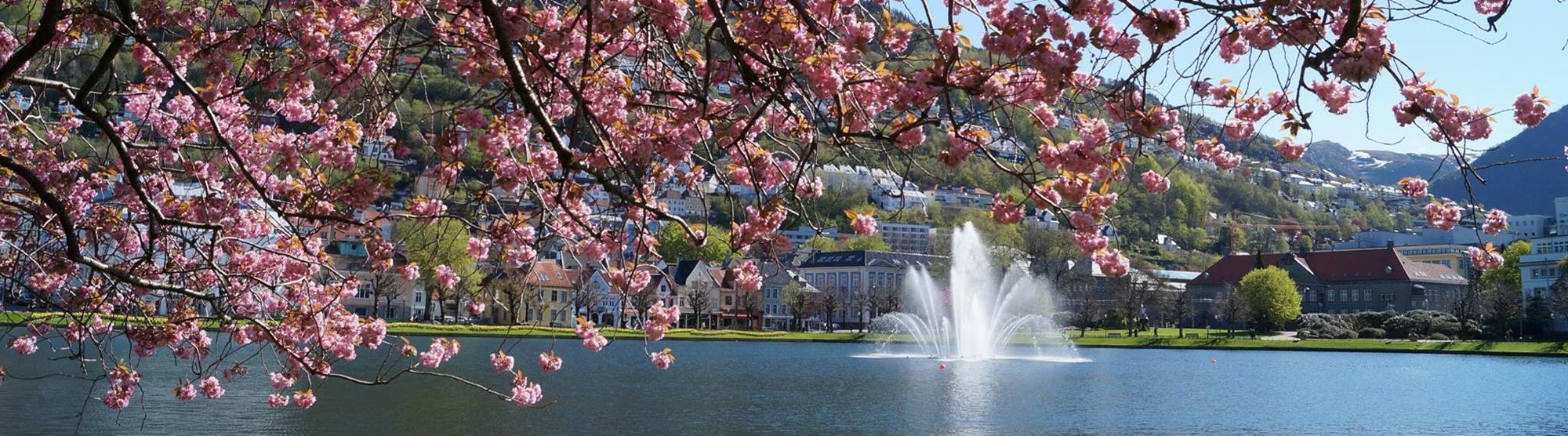 Miljøvennlige Bergen