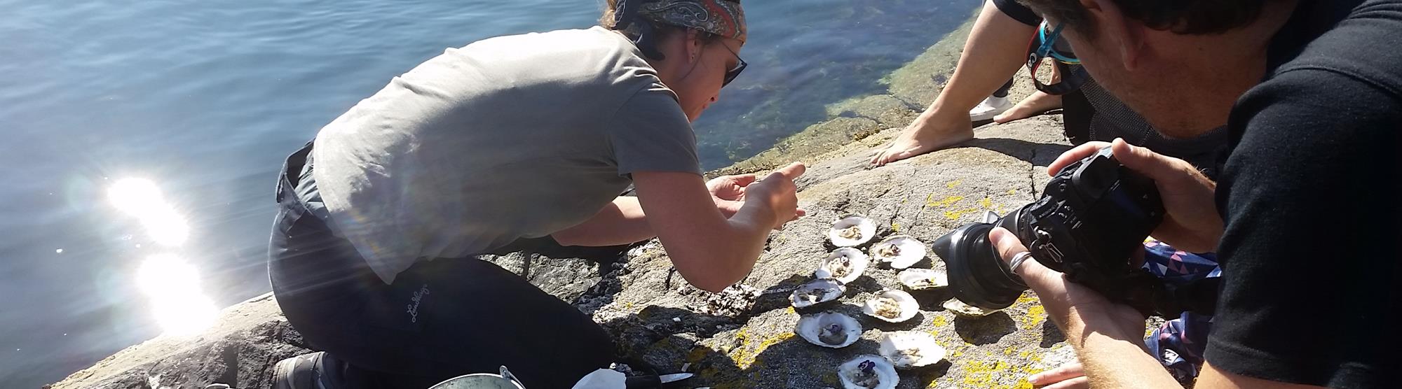 Matturer fra Bergen