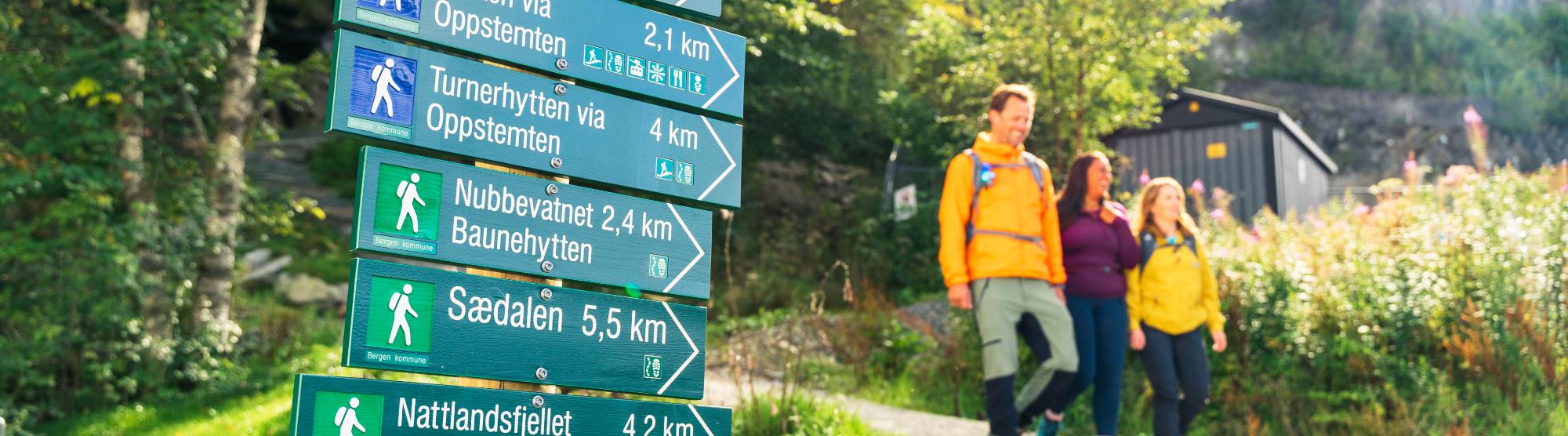 Guidede fjellturer i Bergen og regionen