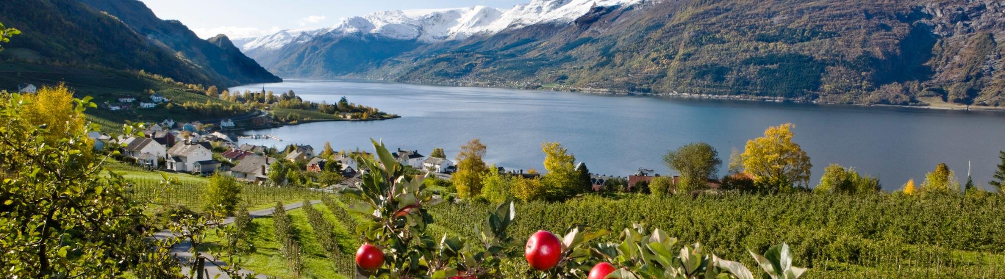 Norske epler