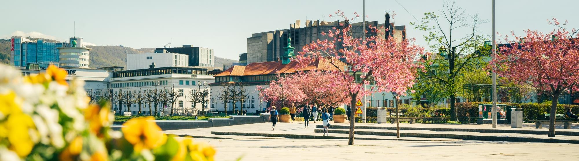 Utleie i Bergen