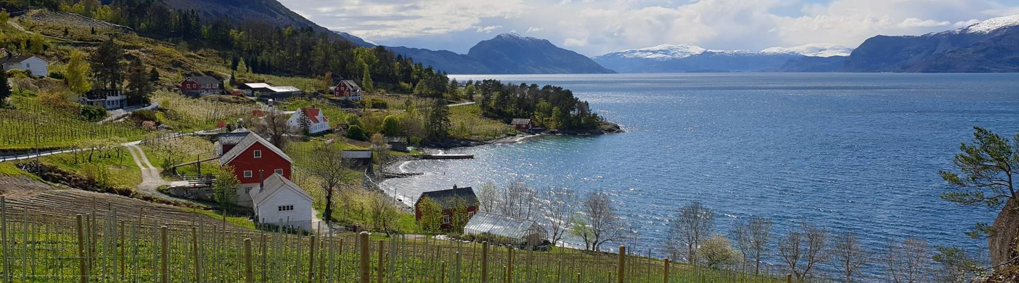 Epleciderens champagne er fra Hardanger