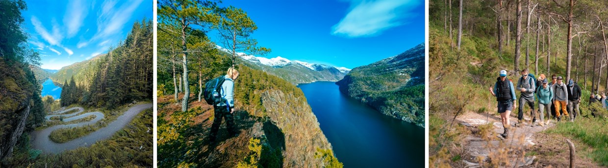 Kombiner fjordcruise og fjelltur
