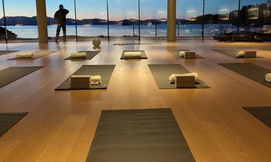 Yoga i kunsten