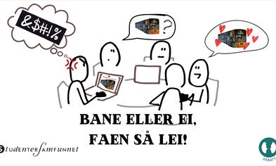 Bergenspolitikk