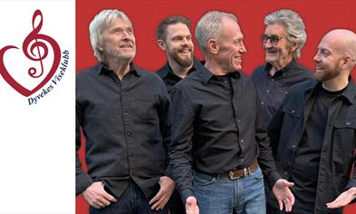 Dyvekes Viseklubb: Puls