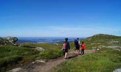 Ulriken - Fløyen ("vidden")