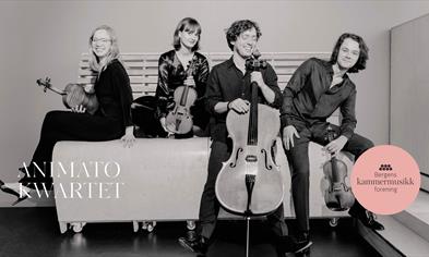 ANIMATO KWARTETT