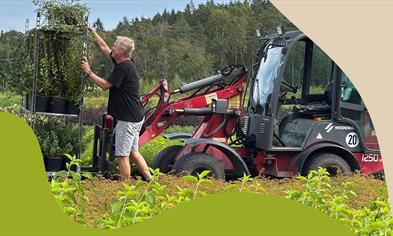 Fagdag Bergen: Skap varige grøntanlegg