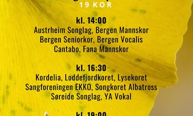 Høstkonserter i Peer Gynt-salen