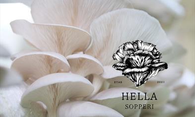 Soppdyrking med Hella Sopperi og Stene Matglede
