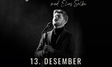 Julekonsert med Elias Salbu