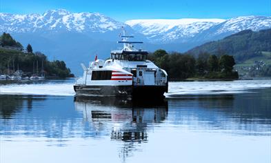 Fjordcruise at the Hardangerfjord