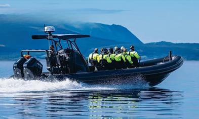 Fjord tour to Mostraumen in premium RIB