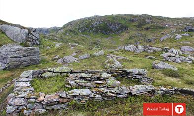 Støler, steinmurer og kultur i Eksingedalen