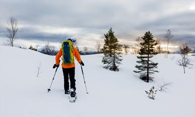 Trugetur med Norway Mountain Guides