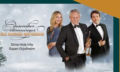 Desemberstemninger