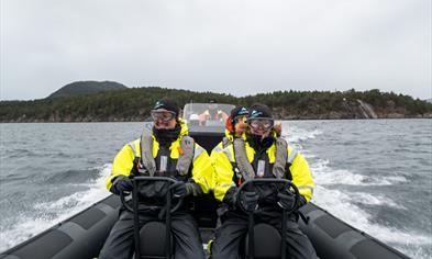 Fjord safari with RIB-boat on the Hardangerfjord from Rosendal
