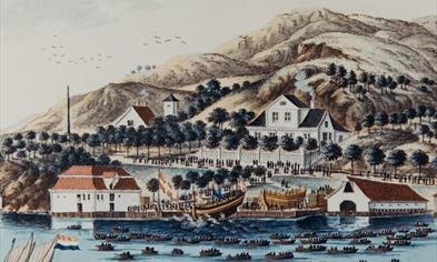 Fargebilde av Elsero for 150 år siden tatt fra sjøen