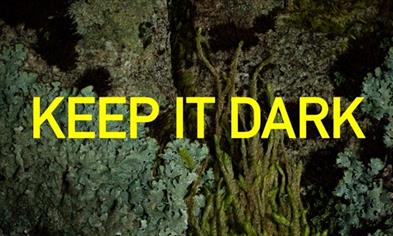 Keep It Dark