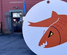 Silja Sild foran museet