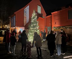 Rundt juletreet
