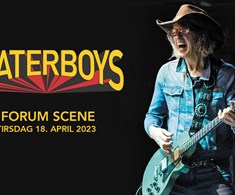 The Waterboys