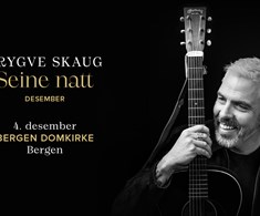 Trygve Skaug, SEINE NATT