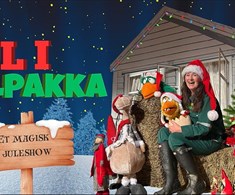 EN  MAGISK JULEFEIRING I ALPAKKA PARKEN