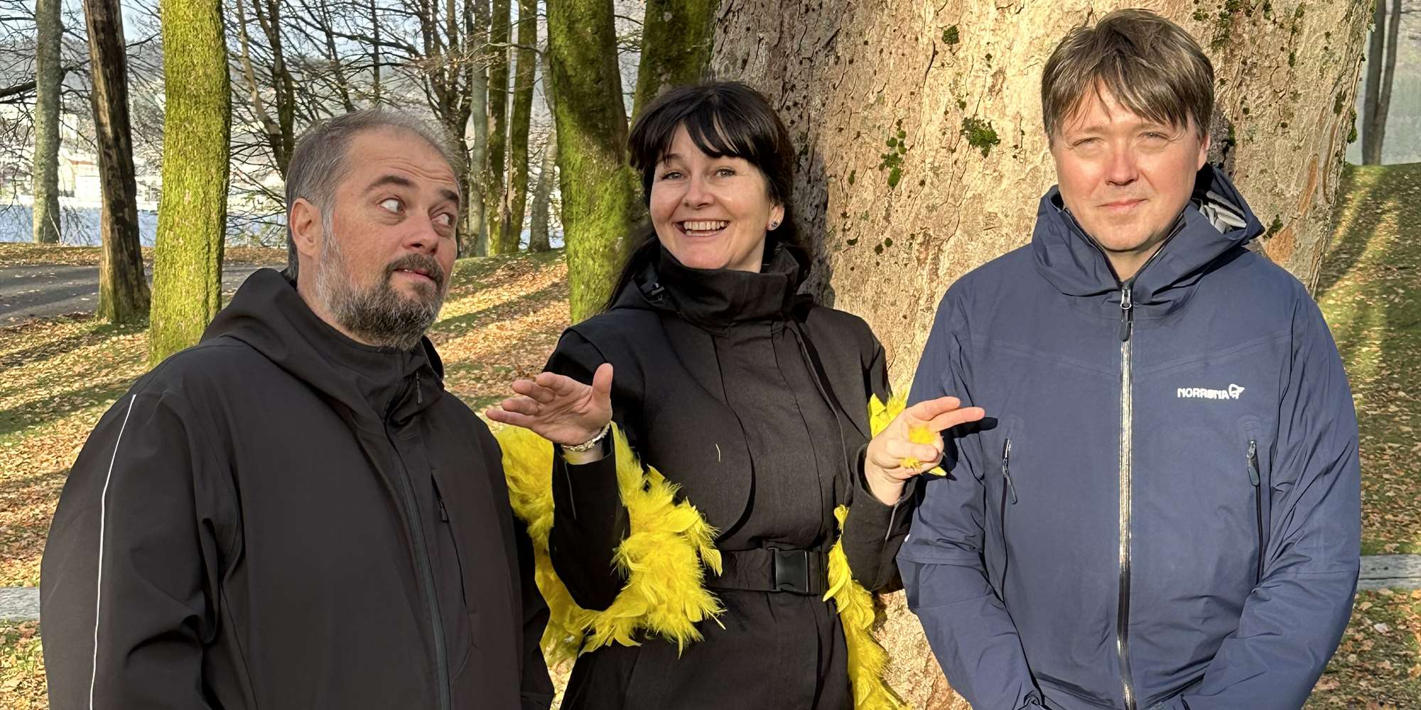 Bandet Kråkebollane