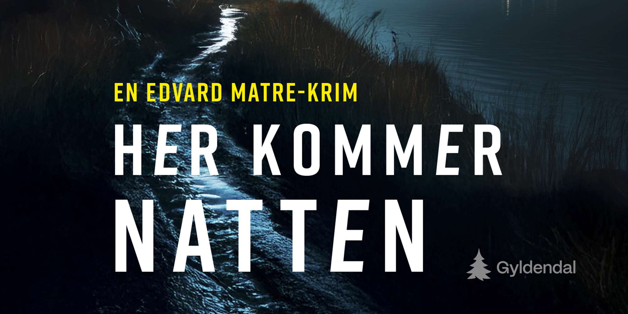 Her kommer natten
