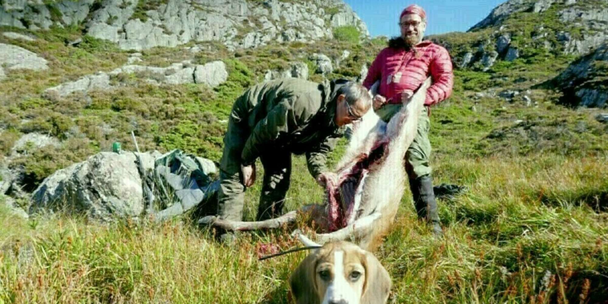 Feltkontrollørkurs Sotra - Hjeltefjorden arena