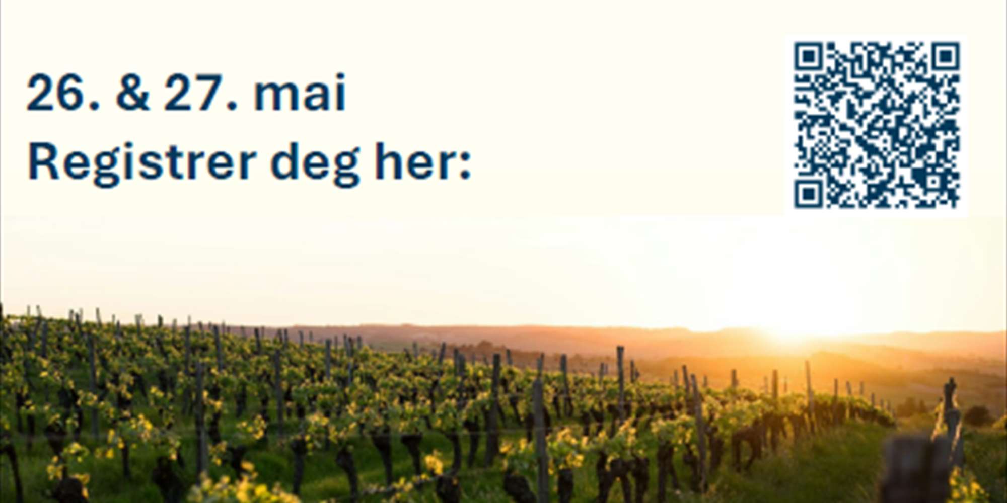 Vinsmaking og vinforskning hos Ypper