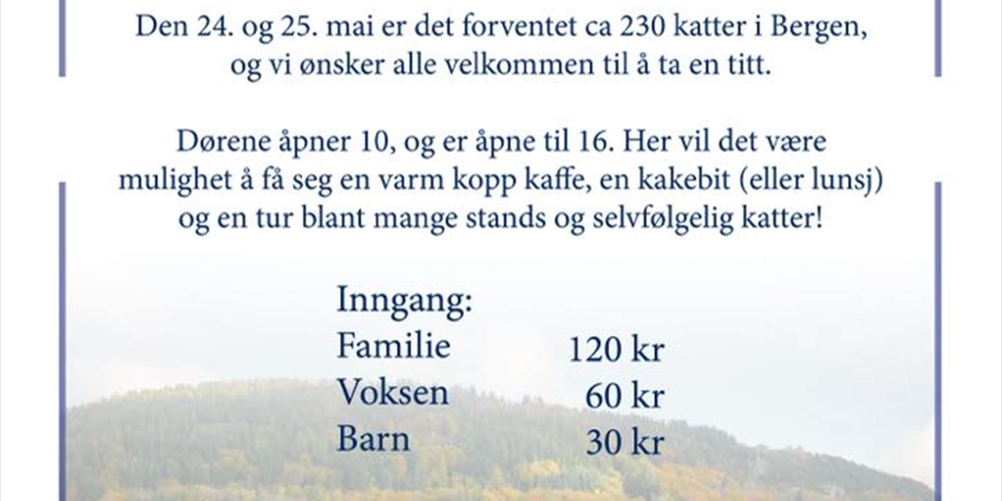 Internasjonal katteutstilling