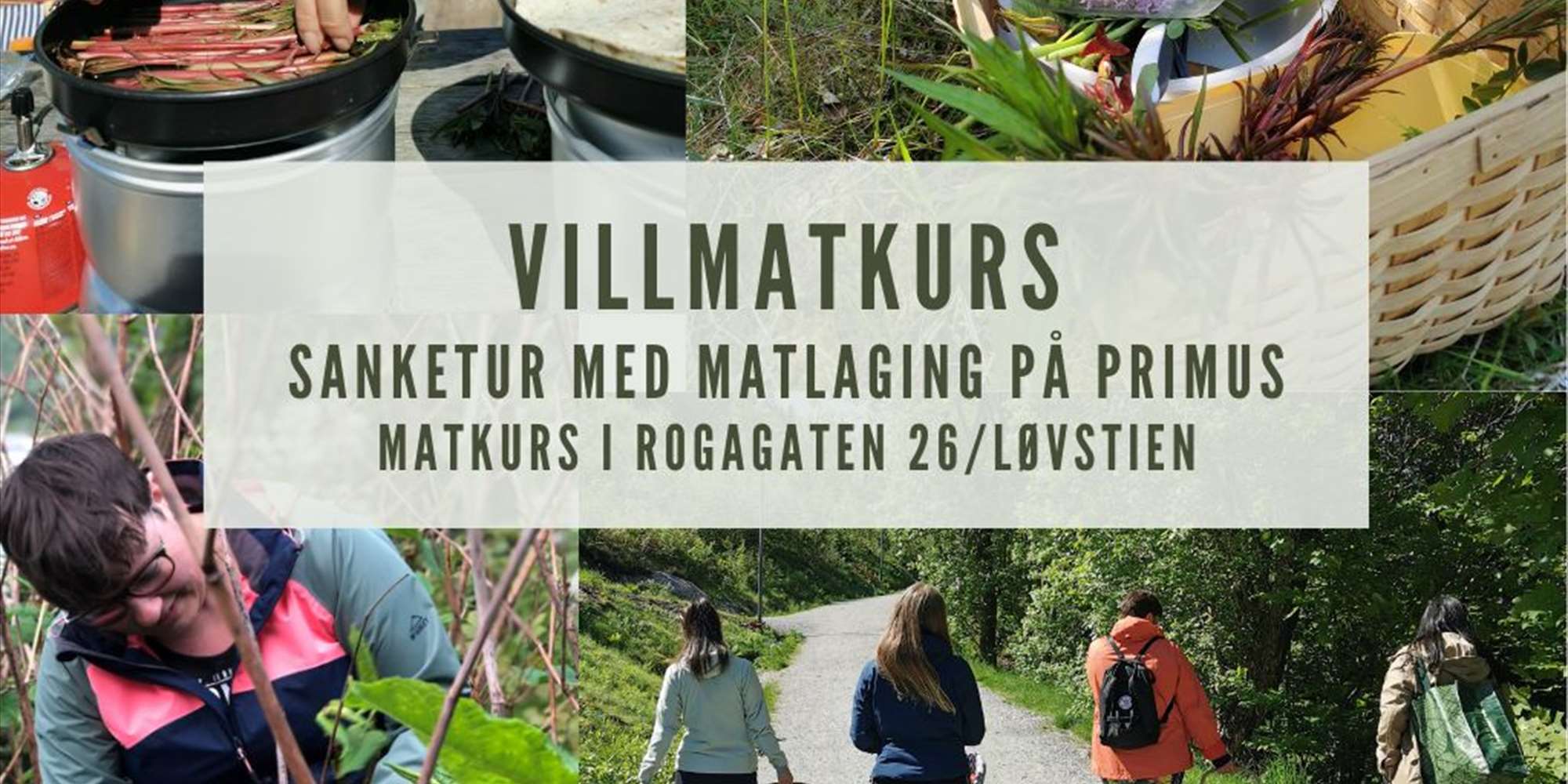 Matkurs: Villmatkurs med sanking og primus