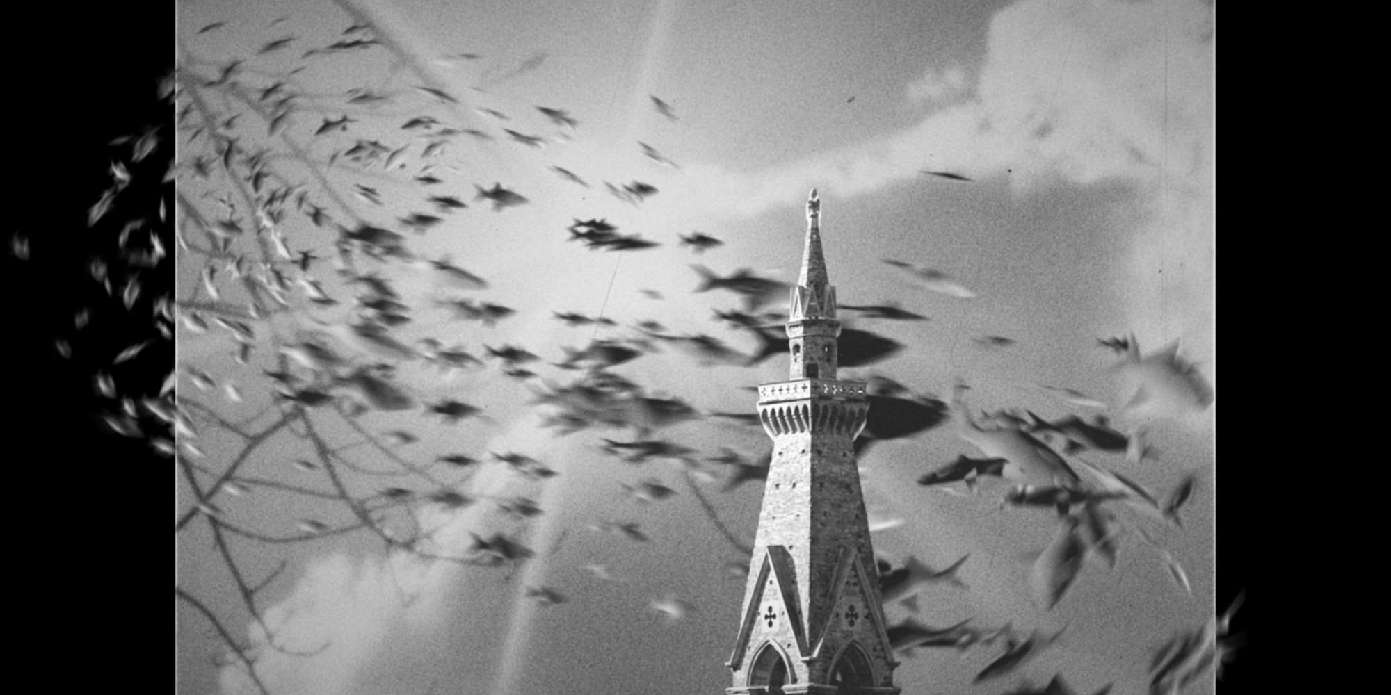 Women Calling the Shots