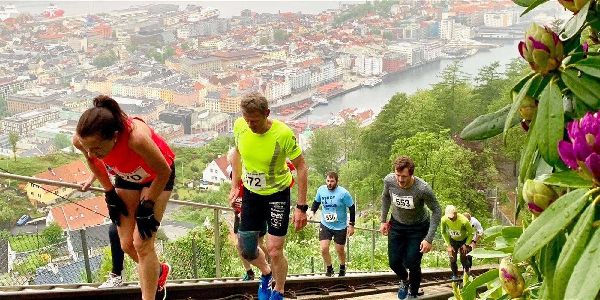 Fløibanen Opp